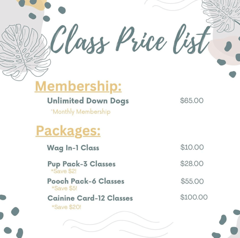 Twin sisters open Down Dog Yoga & Lifestyle Studio in Ontario